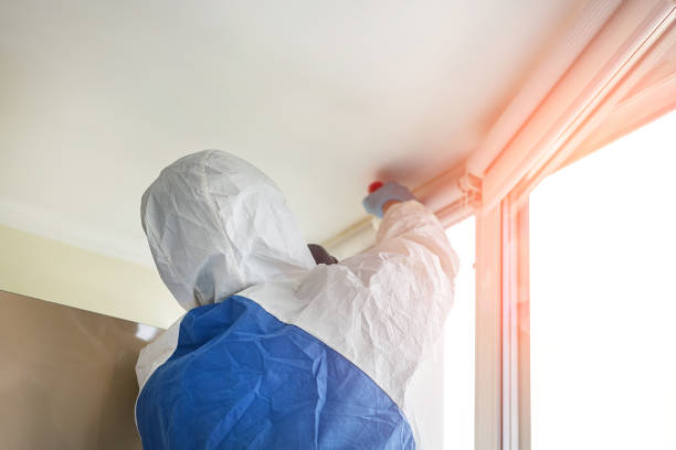 Best Mold Prevention Services  in Wautoma, WI